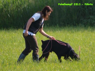 2013-Pokalkampf-Fährte_P6091629_Fährte