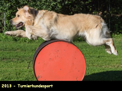 2013-Turnierhundesport_Hundesport-2021