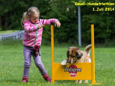 2014_Parcours-5301_300x400_Text