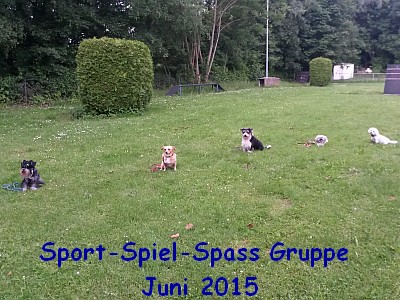 20150608_Sport-Spiel-Spaß